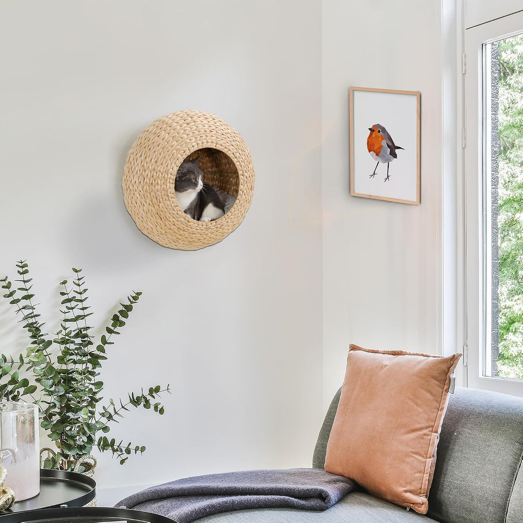 Cat Wall Furniture Cat Wall Shelf for Indoor Cats Natural Wood