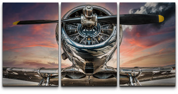 Canvas Print Wall Set Close Up Sunset Skyline Airplane Propeller Vehicles Transportation Photography Realism