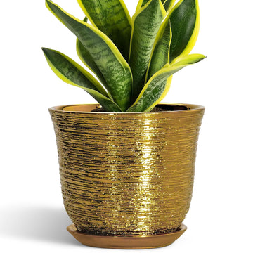 Ceramic Plant Pots - 8 Inch Plant Pot with Drainage Hole and Saucer, Round Planter for Indoor Outdoor, Modern Flower