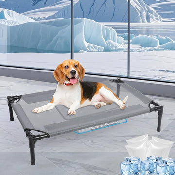 Outdoor Elevated Dog Bed, Raised Dogs Bed, Dog Cot, Dog Cooling Bed-Small