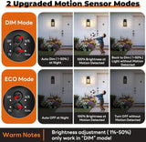 Motion Sensor Outdoor Lights Fixture, Dusk to Dawn Exterior Porch Light Wall Mount with Water-Rippled Glass