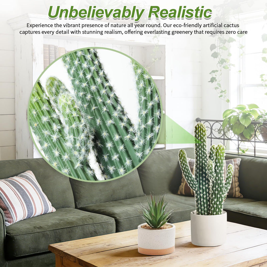 Artificial Cactus Small Fake Succulents Ceramic Plant, Desk, Shelf, and Indoor Dec- 2packs