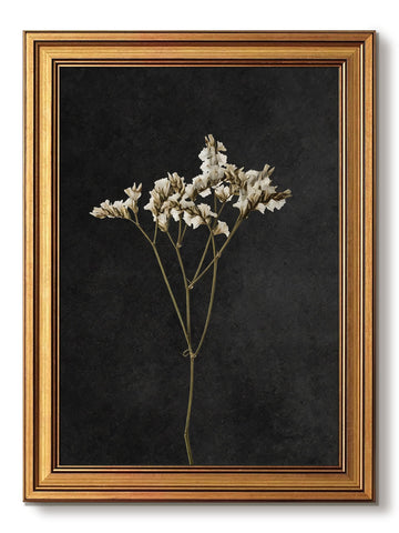 Vintage Gold Framed Wall Art, Retro Dark Dried Flower Paintings, Moody Floral Pictures Wall Decor, Victorian Canvas