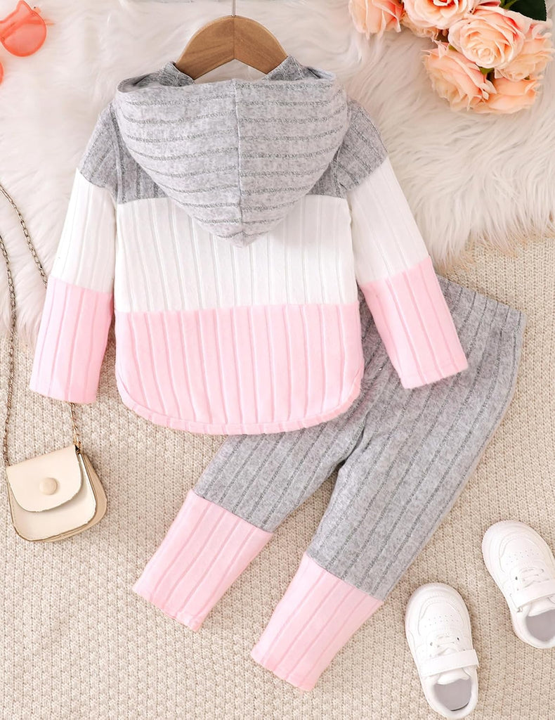 Toddler Baby Girl Clothes Fall Winter Outfits Long Sleeves Hoodie Top Sweatpants Set Sweatsuit 2Pcs