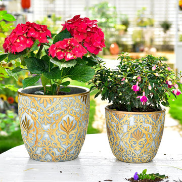 Set of 2, 8 & 10 Inch Heavy Duty Embossed Cement Plant Pots