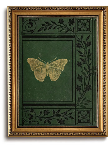 Vintage Gold Framed Wall Art Classical Butterfly Wall Art Emerald Green Old Bookcover Pictures Wall Decor Dark Moody