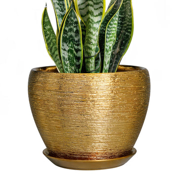 Ceramic Plant Pot 8 Inch - Planter for Outdoor Plants Indoor Plant Pot with Drainage Hole and Saucer Decorative Round