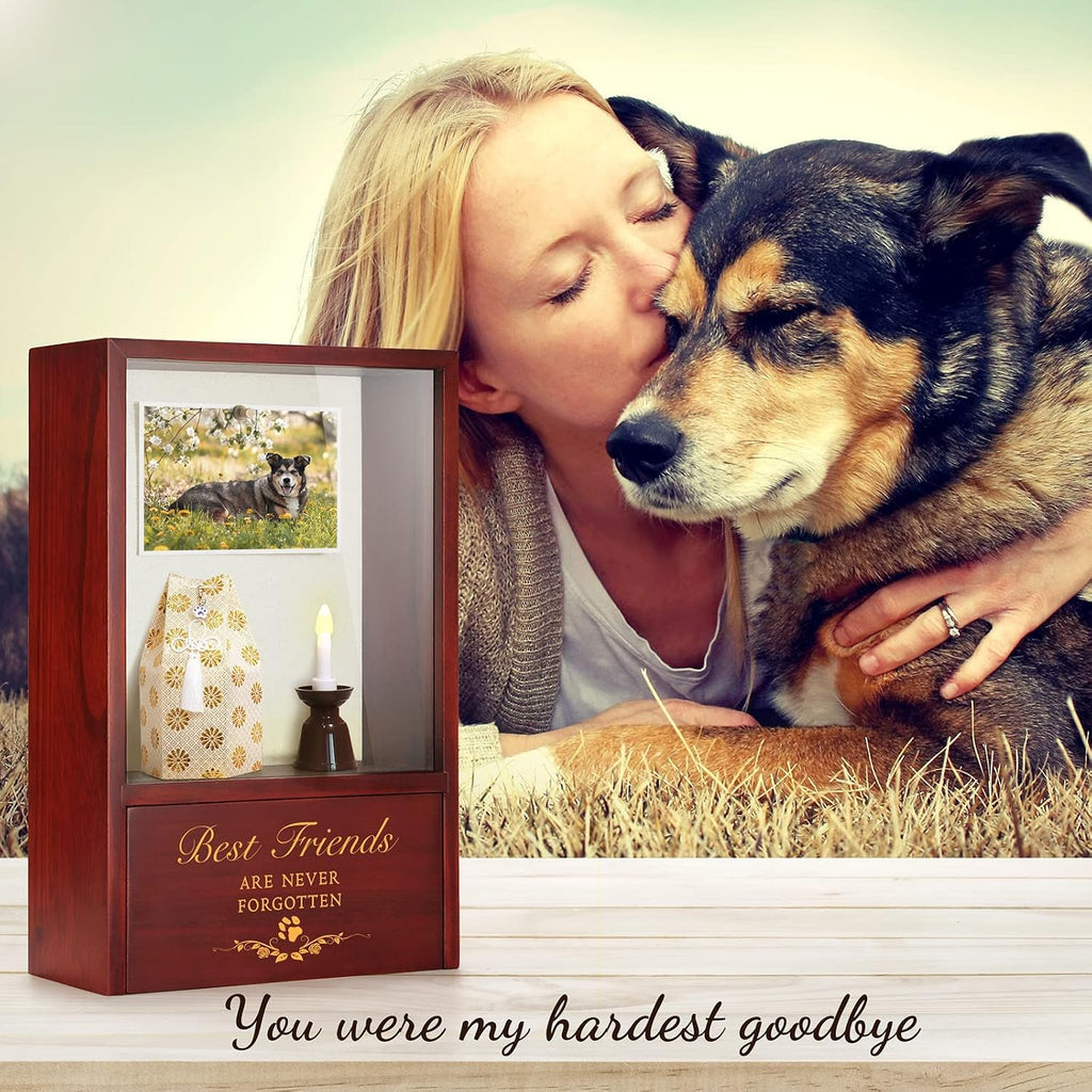 Dog Memorial Gifts - Dog Urns for Ashes Display Case, Pet Sympathy Gifts Shadow Box - Best Friends are Never Forgotten
