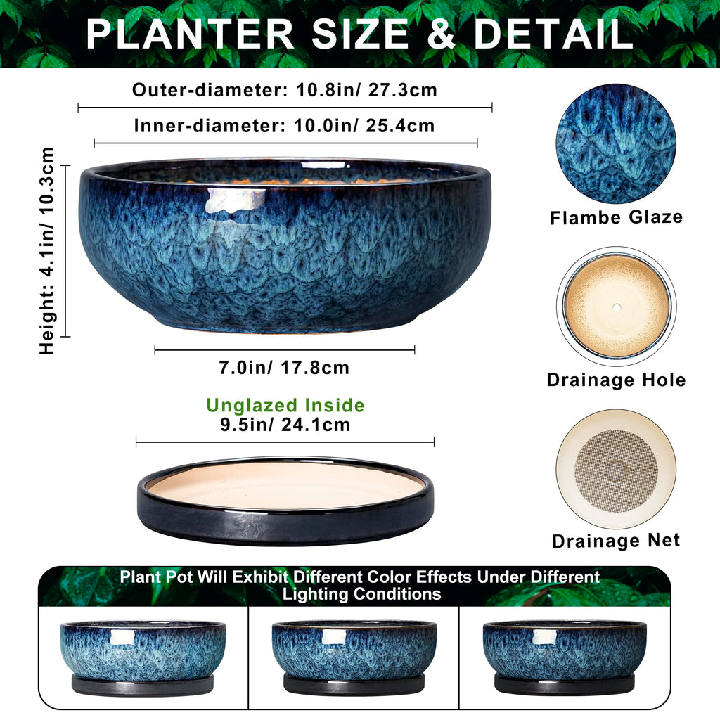 Bonsai Pots, 10 Inch Ceramic Succulent Pots with Saucer, Blue