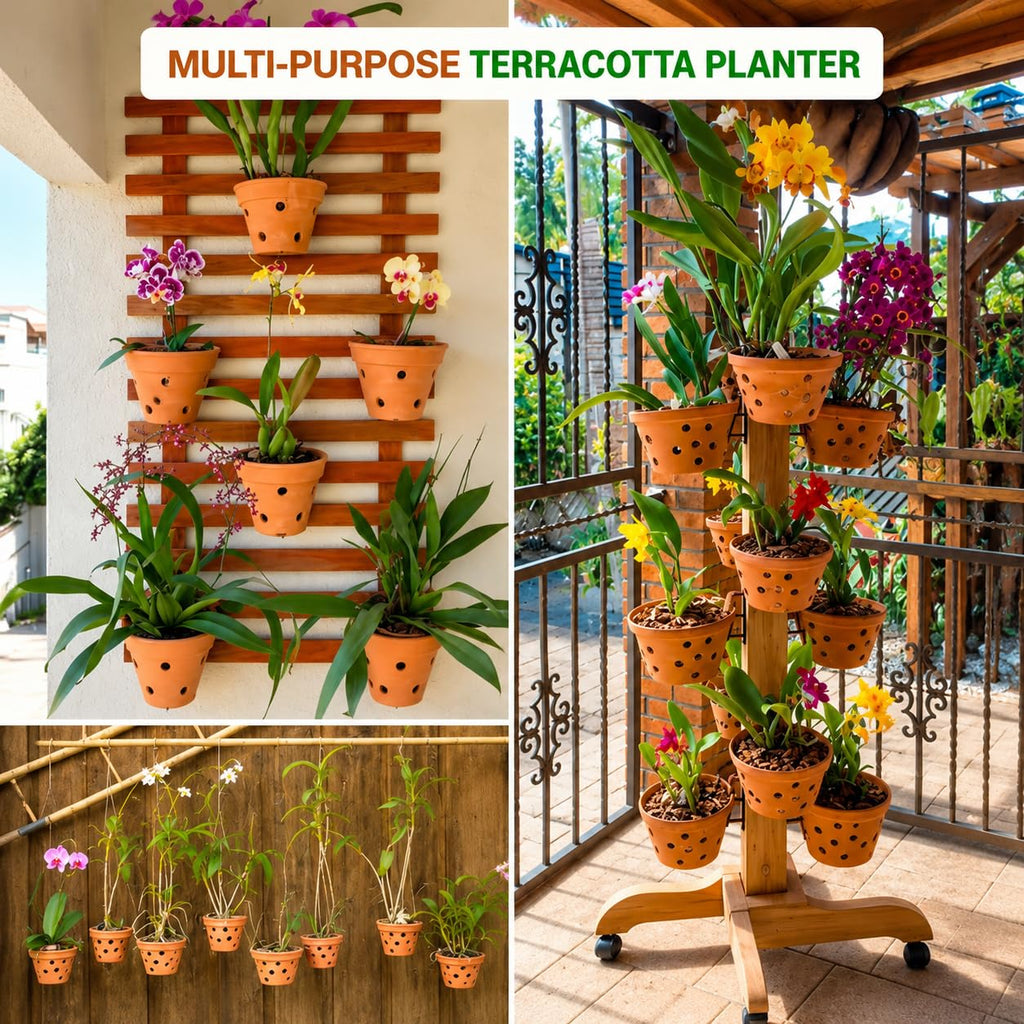 Handmade Terracotta Orchid Pot|Pack of 1|Height - 5 Inch