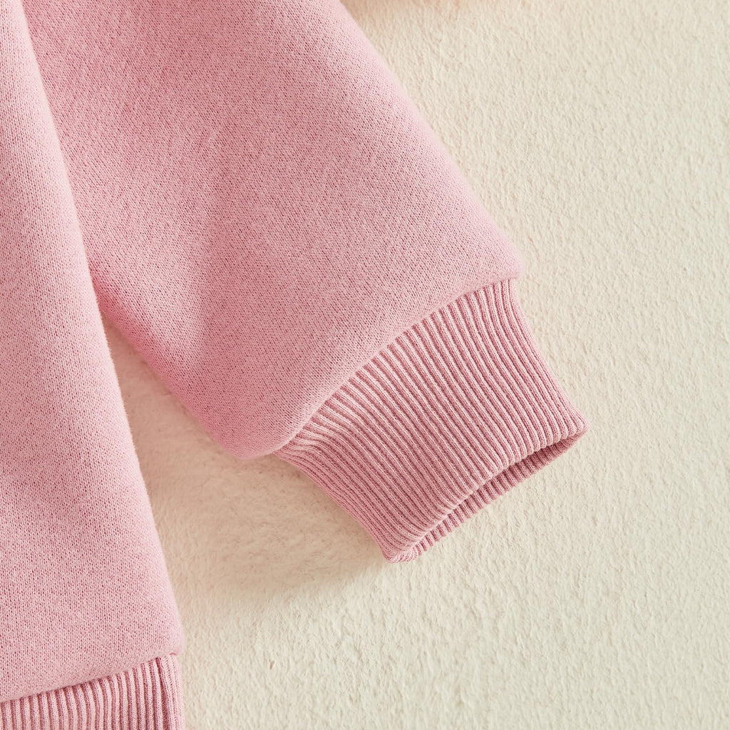 Toddler Baby Boy Clothes Girl Basic Plain Sweatshirt Long Sleeve Shirts Kids Fall Winter Sweat Shirt Tops