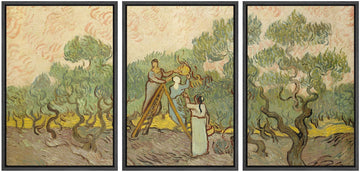 Framed Canvas Print Wall Art Set Women Picking Olives by Vincent Van Gogh Nature Wilderness Illustrations Fine Art