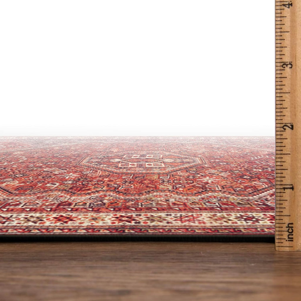 3x5 Rug - Machine Washable Entry Rug with Non-Slip Backing, Ideal