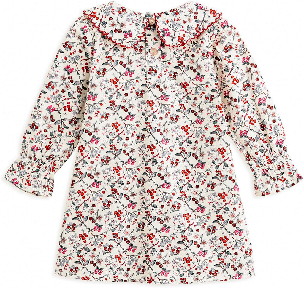 Toddler Floral Dress, Long Sleeve Smocked