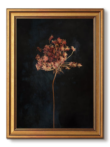 Vintage Gold Framed Wall Art Dark Floral Canvas Prints Decor 16x24 Inch