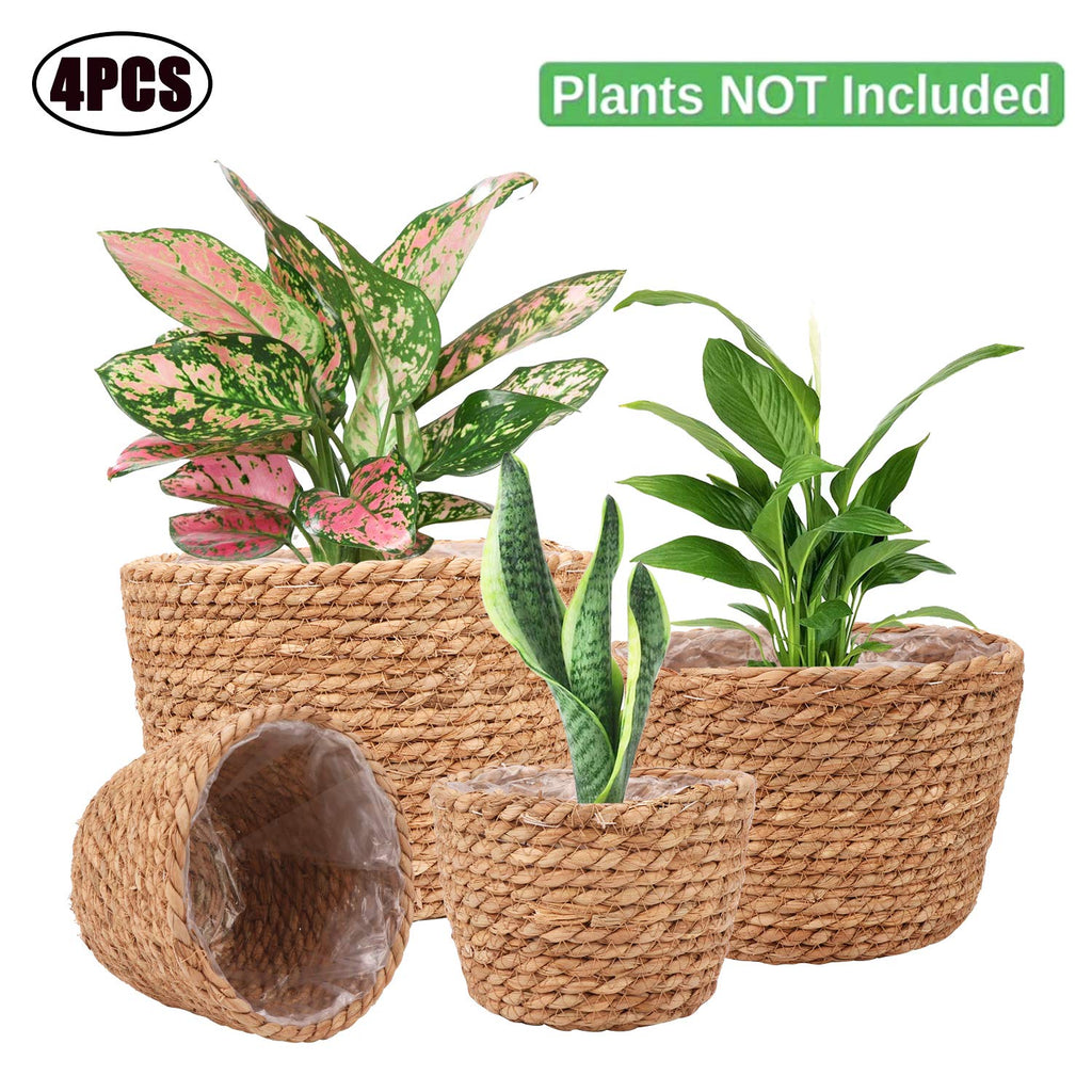 Seagrass Planter Basket Stylish Planter Baskets, Set of 4