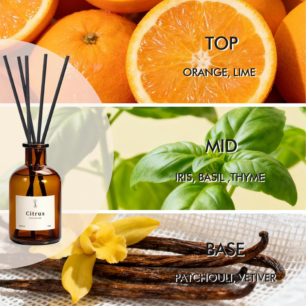 Reed Diffuser Set, 8.12 fl.oz Scent Oil Diffuser with Sticks, Long-Lasting Home Fragrance Reed Diffuser Shelf Decor