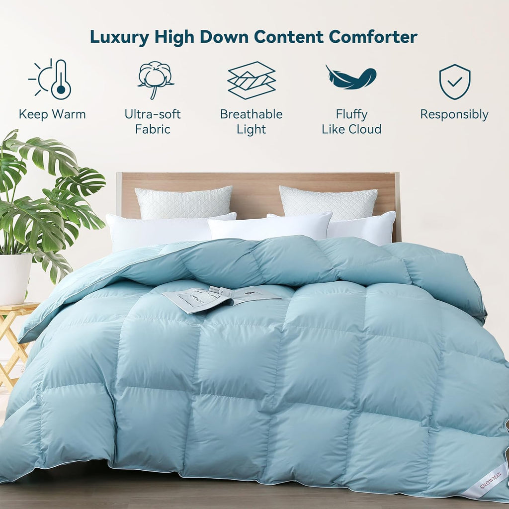 Premium Down Comforter Queen, Luxurious All Season Duvet Insert with Cotton Blended Fabric