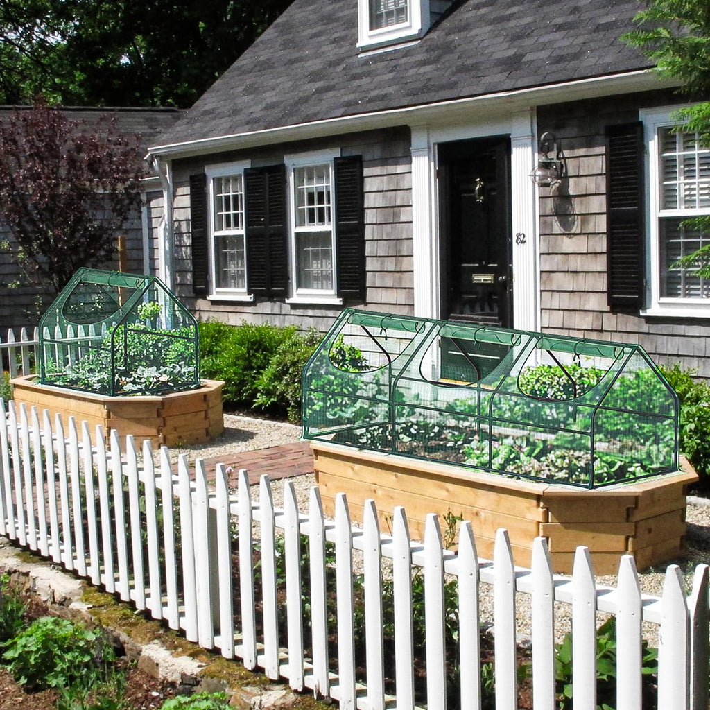 3X3X9 Small Greenhouse, Durable PE, Waterproof & UV Protected