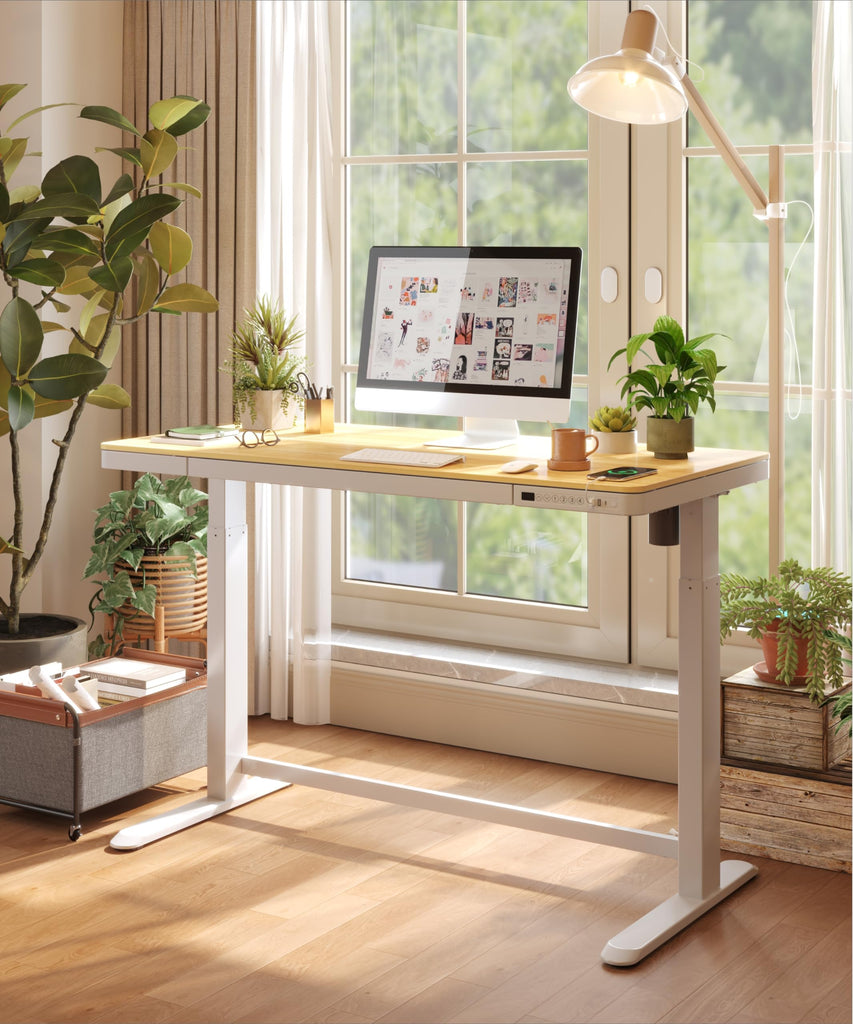 Standing Desk with Drawer, Electric Height Adjustable Home Office Desk with Storage & USB Ports, 48 inch Bamboo