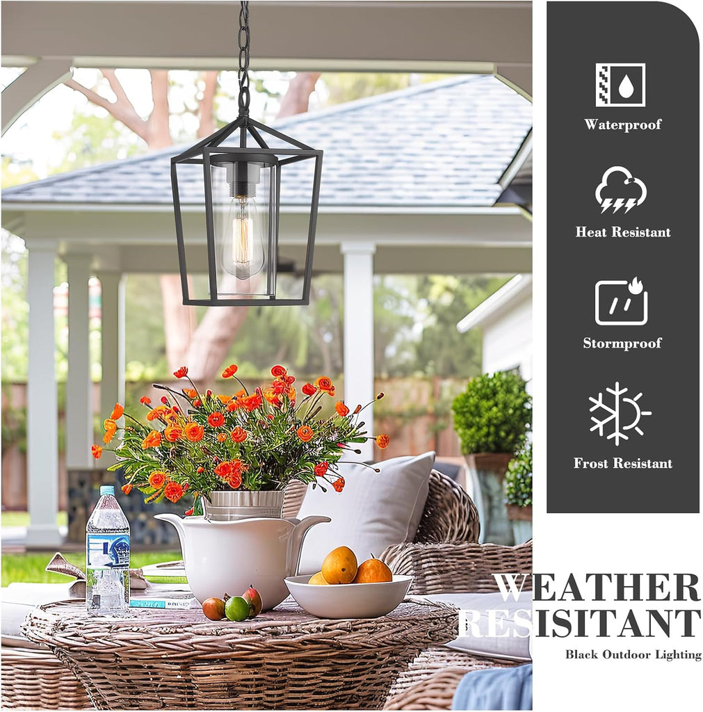 Modern Outdoor Pendant Light, 1-Light Outdoor Hanging Lantern Light in Black Finish with Clear Glass, 20065H BK