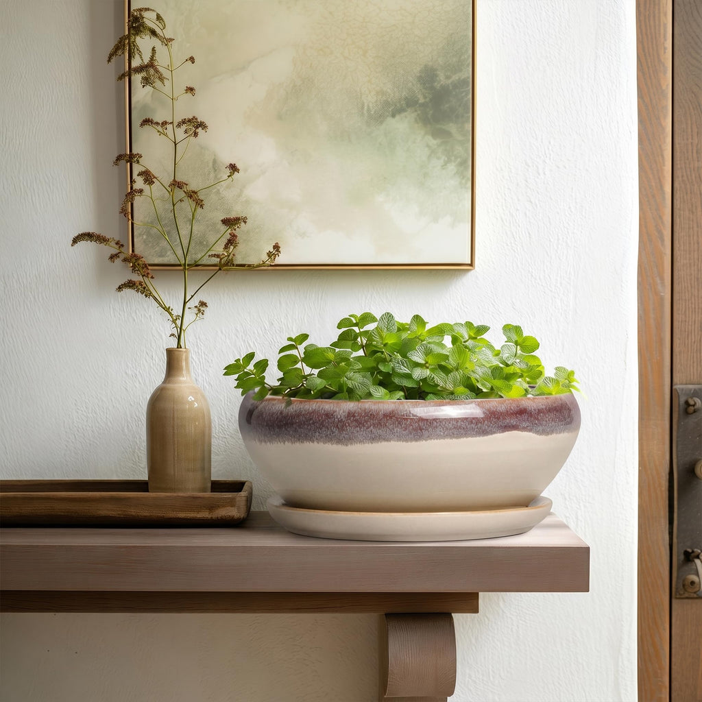 Bonsai Tree Pots - 10 Inch Ceramic Succulent Pots, Round Shallow Planter with Drainage Hole and Tray, Bowl Planter