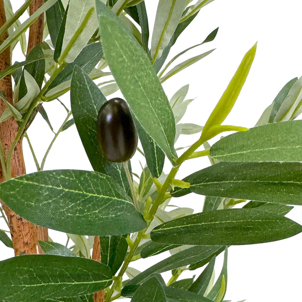 Tree in Contemporary Planter, Fake Olive Silk Tree for Indoor and Outdoor Home Decoration - 68" Overall Tall (Plant