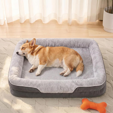 Large Orthopedic Dog Bed for Senior Dog to Comfy Sleep