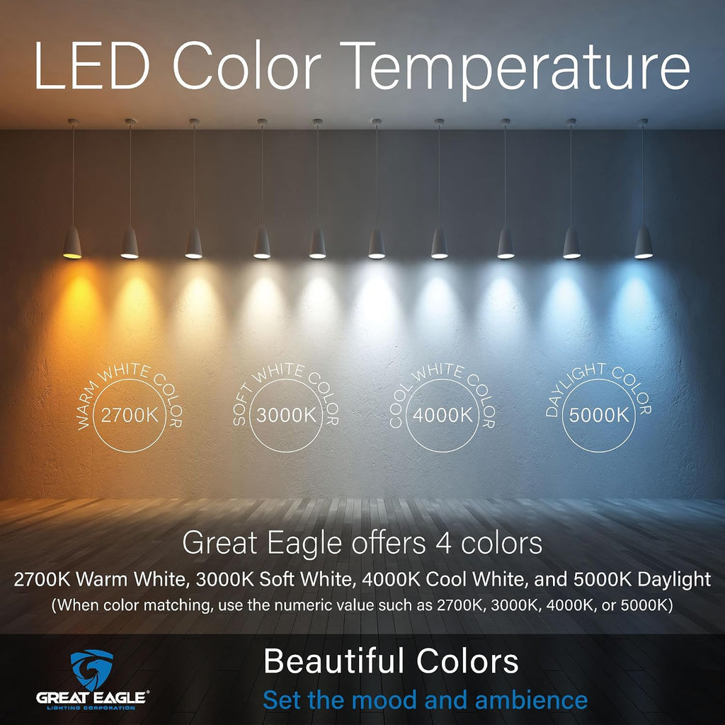 A19 LED Light Bulbs - 100W Equivalent (15W), Daylight 5000K, 1500 Lumens, Non-Dimmable, UL-Listed, Energy-Saving 4-Pack