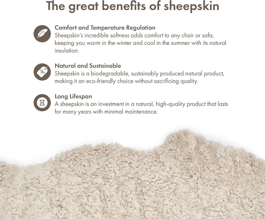 Sheepskin Rug & Chair Pad Short Hair, Beige