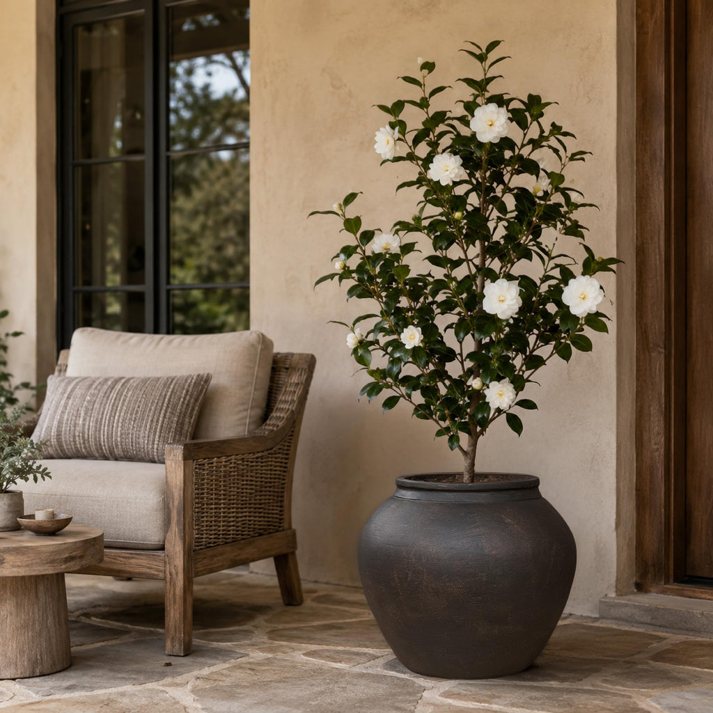 17 Inch Fiberstone Planter Pot with Drainage Hole, Large Indoor Outdoor Flower Pot for Olive Trees, Monstera &
