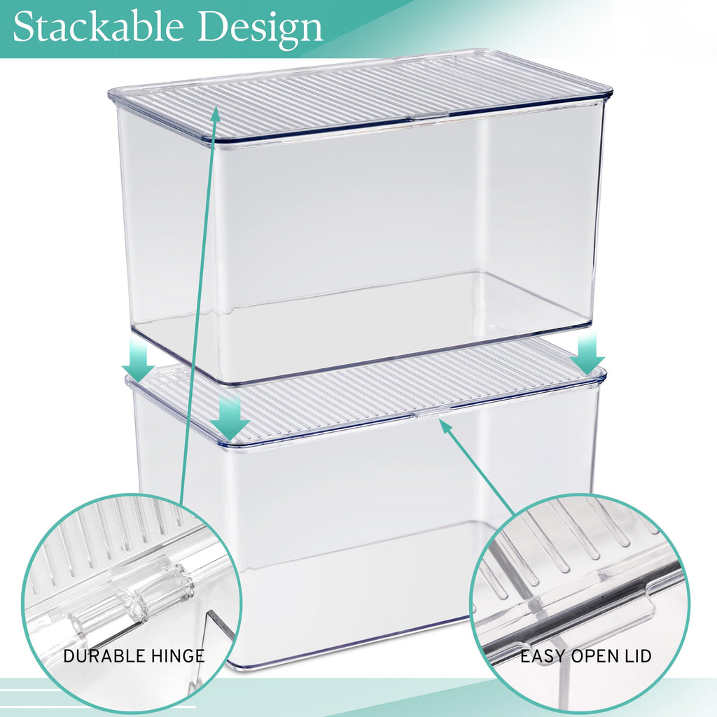 Clear Storage Bins with Lids, Stackable Organizer (Large)
