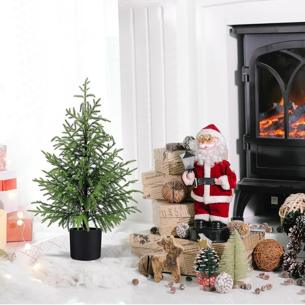 3FT Small Norfolk Pine Christmas Trees, 2-Pack Potted, Unlit