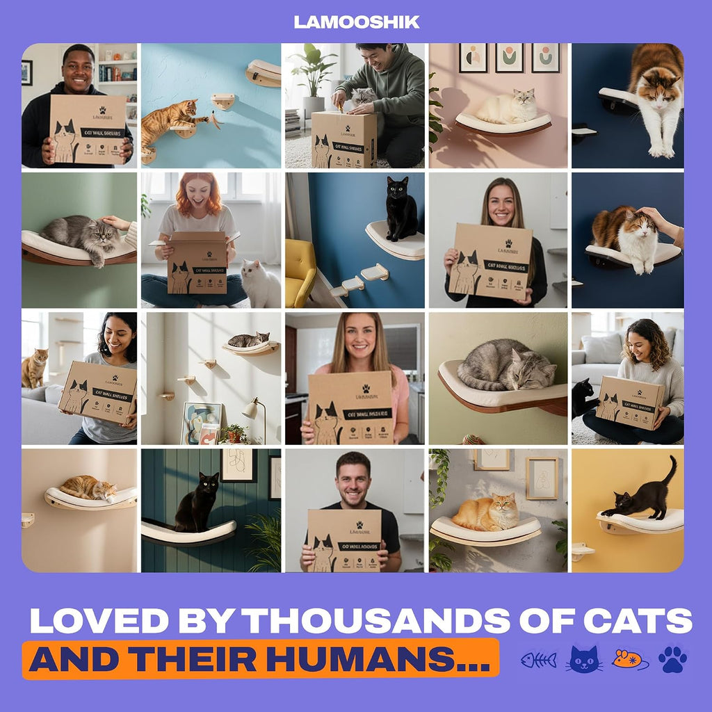 Cat Wall Shelves, Natural Floating Cat Furniture with Bed & Steps
