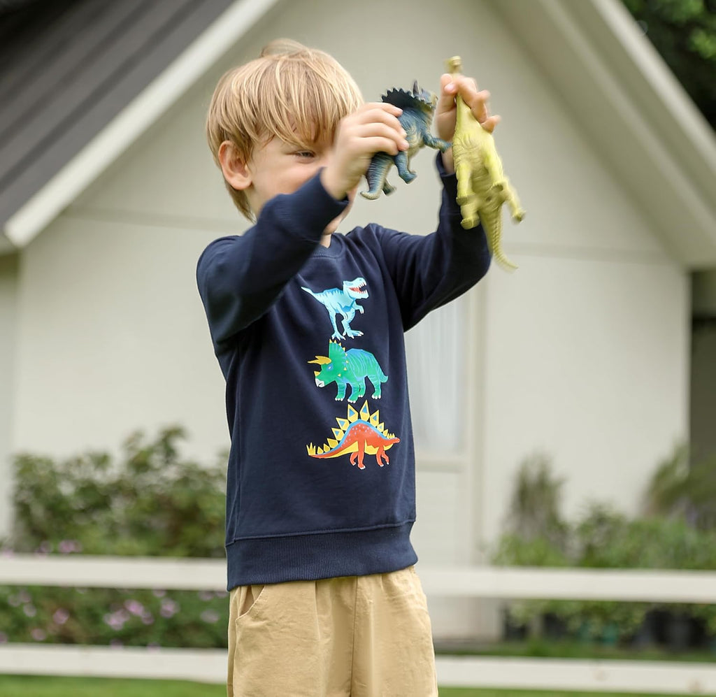 Toddler Boys Sweatshirts Crewneck Pullover Long Sleeve Shirt Top