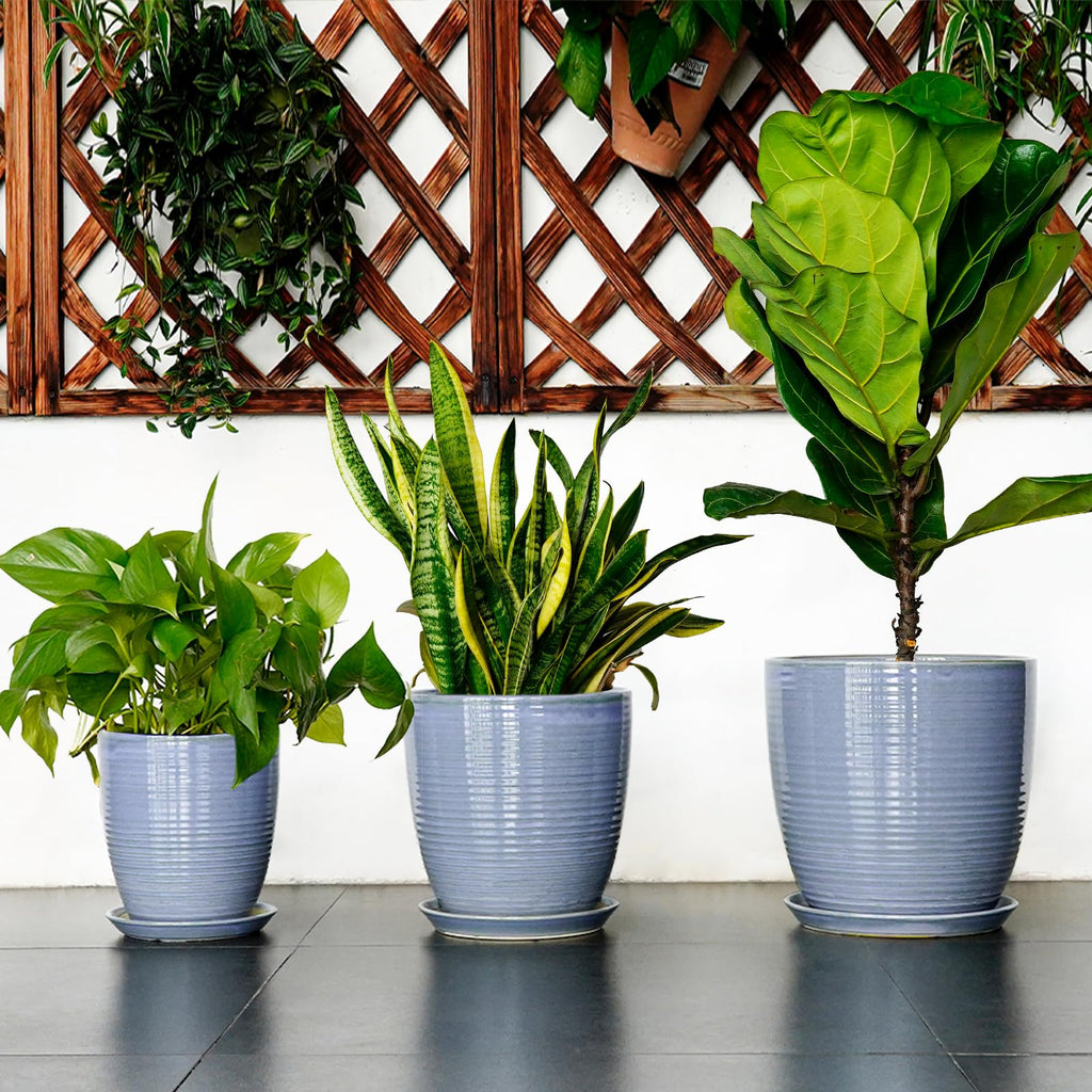 Ceramic Planter - Modern Round 12 Inch Pots for Plants with Drainage Hole and Plant Saucer for Flower Indoor, Garden