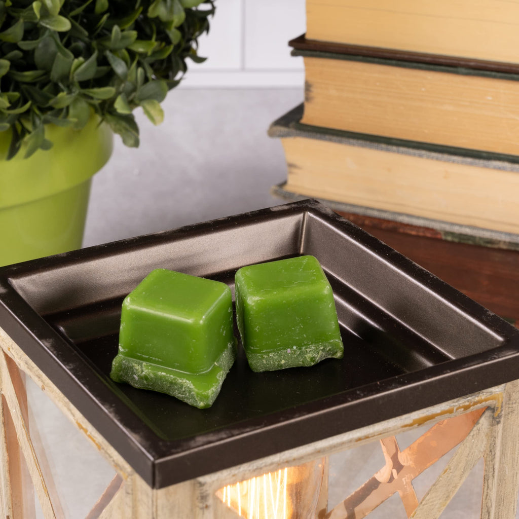 Anchorage - Edison Bulb Wax Warmer for Scented Wax Melts