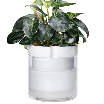 10 Inch Self Watering Planter, White Terracotta Clay Pot with Glass Reservoir for Indoor Plants, Herbs, Flowers, Set