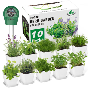 Indoor Herb Garden Kit - 10 Non-GMO Herb Seeds with Soil, Pots & Moisture Meter - Easy Windowsill Gardening Starter