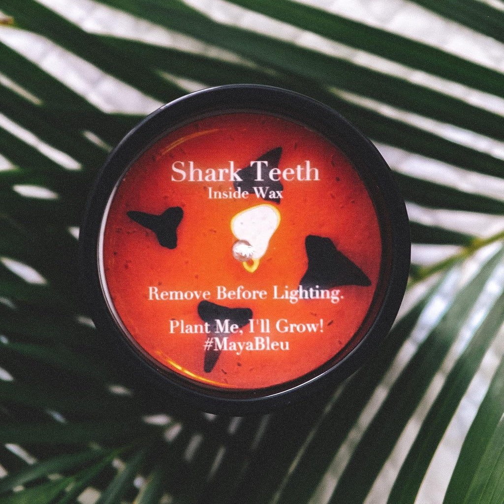 Original Shark Tooth Candle - Handcrafted 100% Soy Candles with 4 Hand-Picked Fossilized Shark Teeth, Buttery Rum &
