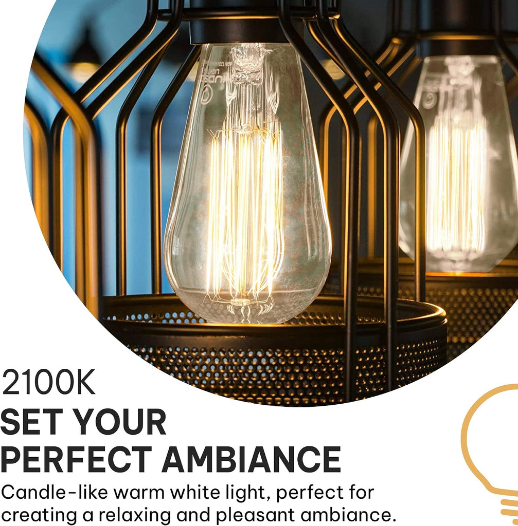 Vintage Incandescent Edison Light Bulbs 60W (4 Pack)- E26/E27 Base 2100K Dimmable Decorative Lightbulbs for Outdoor