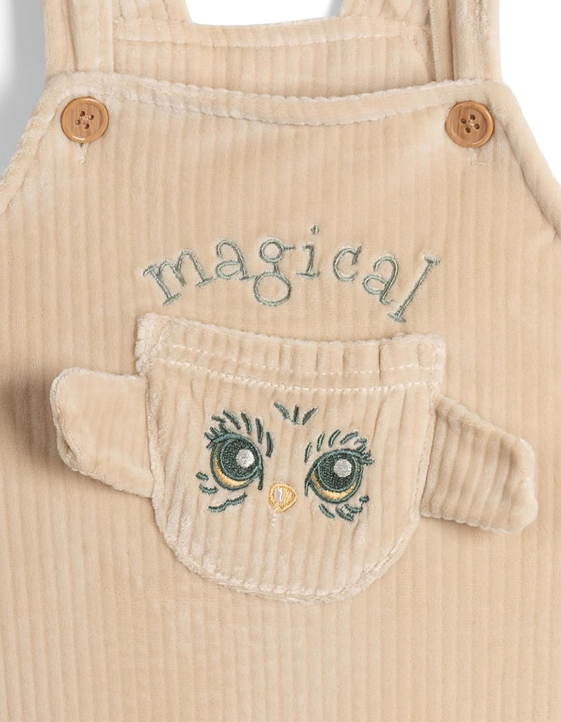 Baby Corduroy Ribbed Overall and T-Shirt Outfit Set to Infant - )