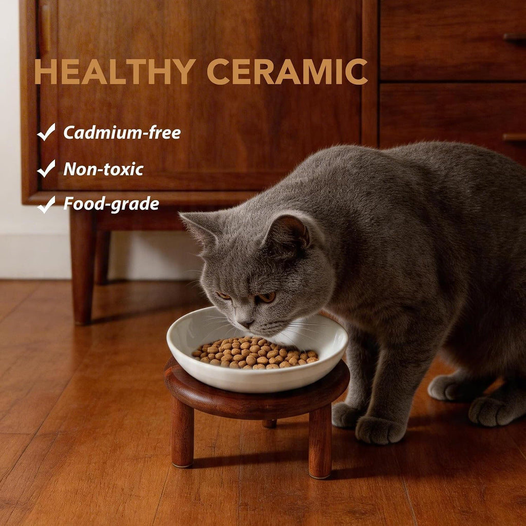 Elevated Cat Bowls, Ceramic Cat Bowl with Wood Stand, Wide Opening