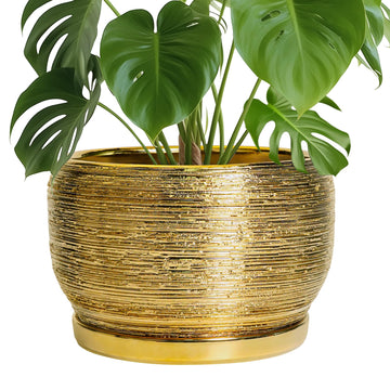Ceramic Planter for Indoor Plants - 10 Inch Plant Pot with Drainage Hole and Saucer, Modern Round Planter Outdoor