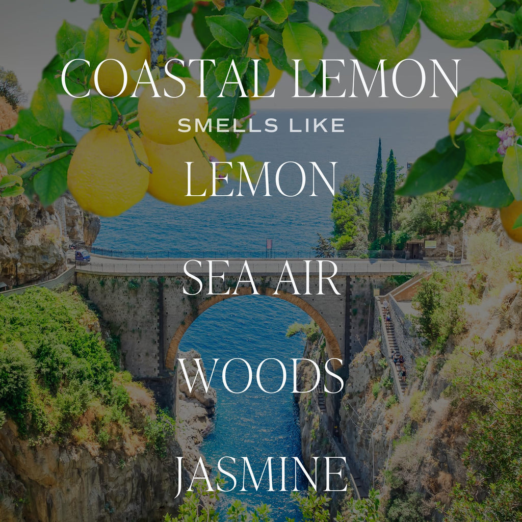 Coastal Lemon Scented Candles - Soy Candles with Lemon, Sea Salt, Jasmine & Driftwood - Summer Cozy Aroma - 50 Hour