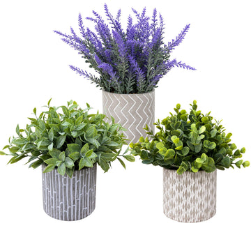 Faux Plants Indoor, Set of 3 Lavender Eucalyptus in Cement Pots