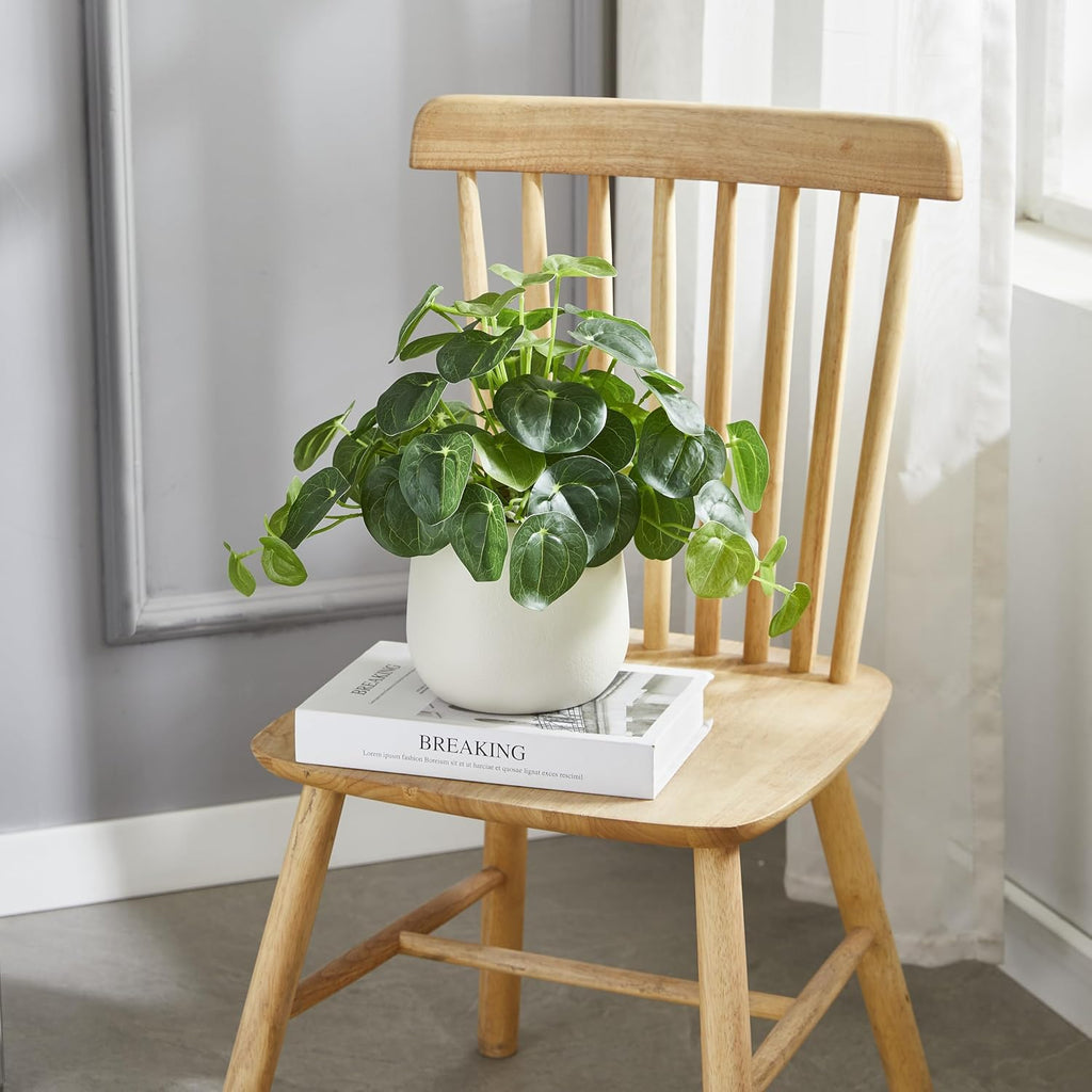 Artificial Pilea Plant - Luxury Potted Money Plant in White Textured Pot with Real Pebbles, Premium Soft Plastic