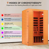 Springspa Far Infrared Sauna for Home, Home Indoor Infrared Sauna for 2-Person