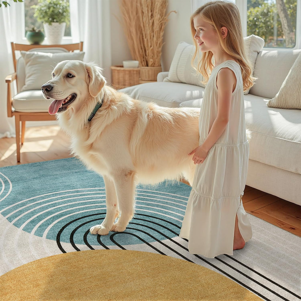 Abstract Machine Washable 5x7 Rug, Mid Century Modern Rug for Living Room, Soft Low Pile Non Slip Carpet, Kid & Pet