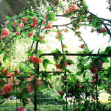 French Style Birdcage Shape Heavy Duty Gazebo,9'Highx 6‘6"Wi - Image 6